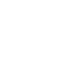endelevu-labs-footer-logo